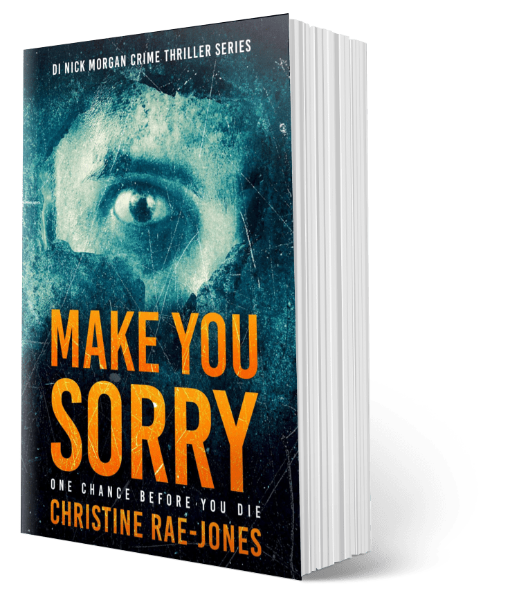 Make You Sorry - The Book